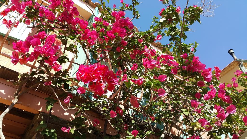 Hostellerie Provencale 克罗斯港 外观 照片